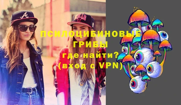 прущая мука Арсеньев