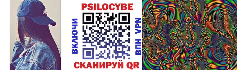 Галлюциногенные грибы Psilocybe  продажа наркотиков  Знаменск 